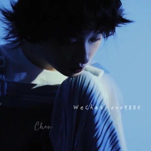 后进极品白嫩翘臀在线视频
